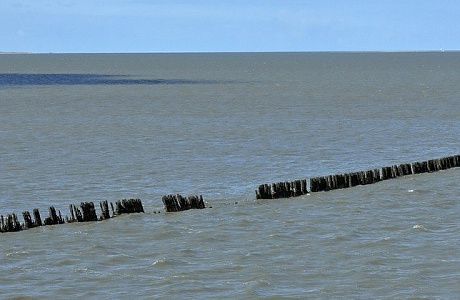 Вадденское море