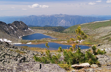 Алтайский заповедник