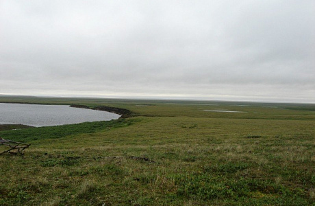 Таймырский заповедник
