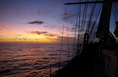 Саргассово море