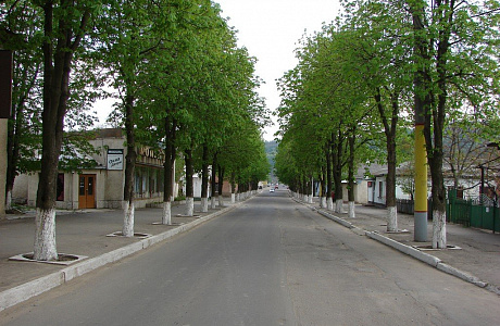 Сороки