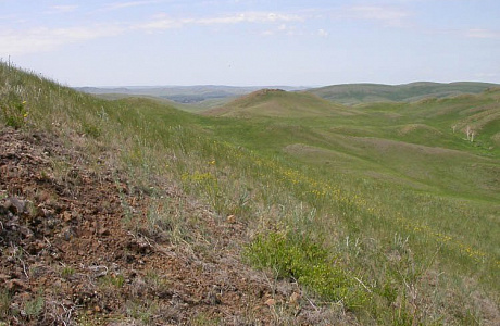 Оренбургский заповедник