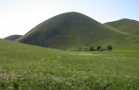 Оренбургский заповедник