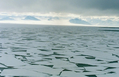 Море Беллинсгаузена