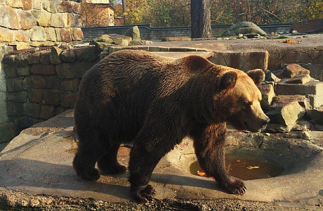 Калининградский зоопарк