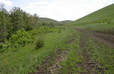 Оренбургский заповедник

	
