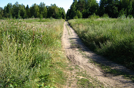 Парк Зверинец

	
