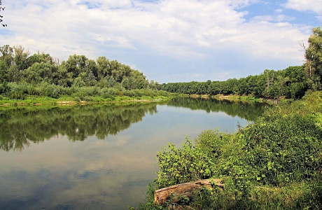 Хоперский заповедник
