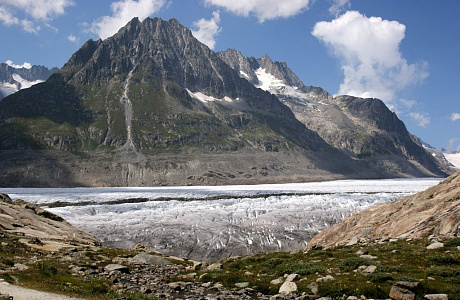 Ледник Алеч