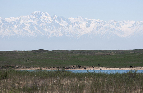 Заилийский Алатау