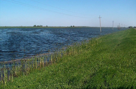 Астраханский заповедник