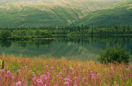 Лапландский заповедник