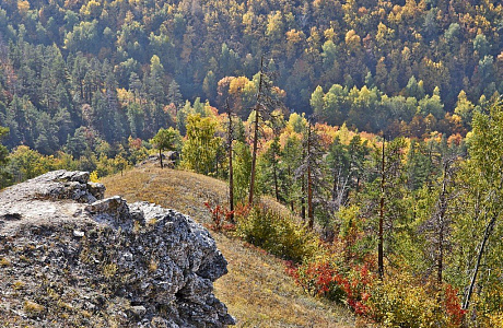 Жигулевский заповедник