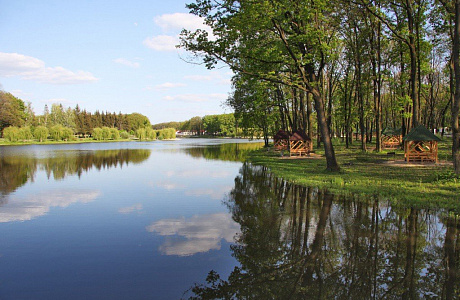Великоанадольский лес