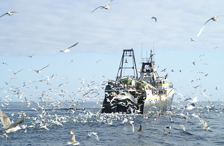 Берингово море