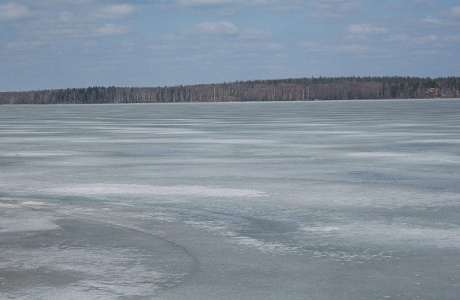 Парк Монрепо