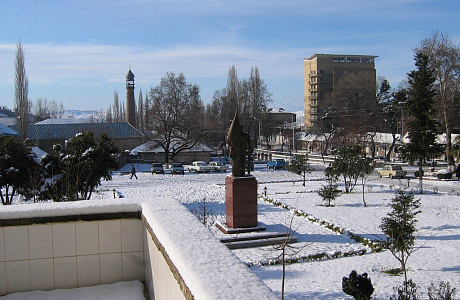 Шеки