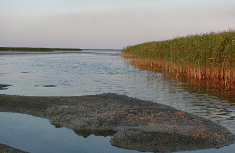 Азовское море