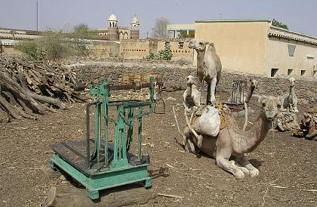 Агордат
	

