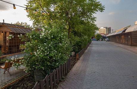 Витязево
