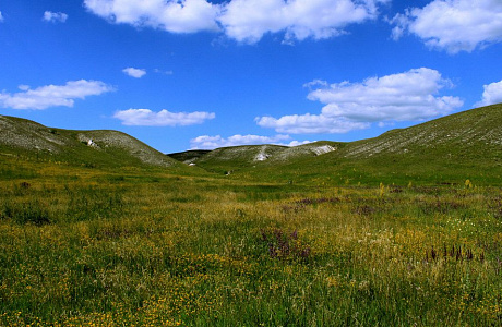 Дивногорье