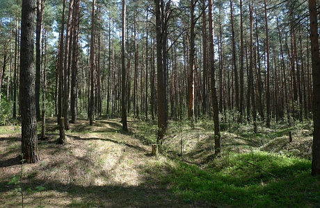 Гнёздовские курганы