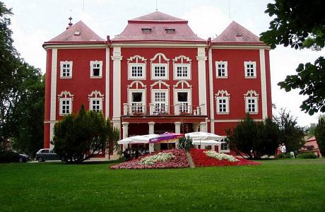 Замок Детенице