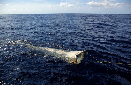 Саргассово море