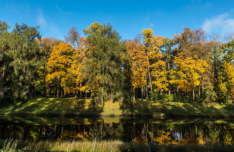 Екатерининский парк