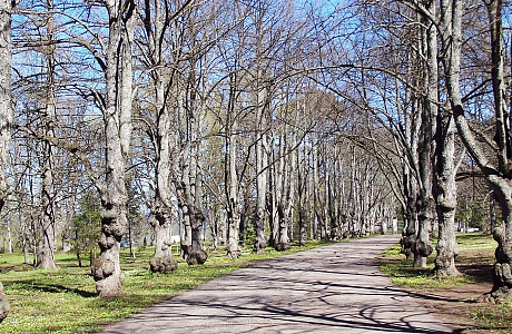 Парк Тойла-Ору