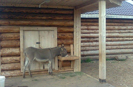 Ярославский зоопарк