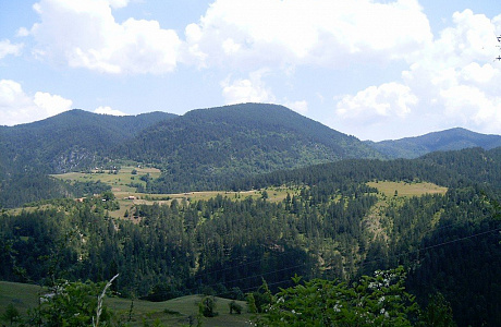 Национальный парк Тара

	
