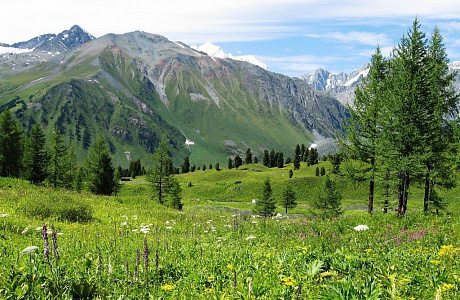 Катунский заповедник