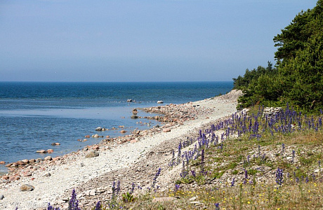 Остров Сааремаа