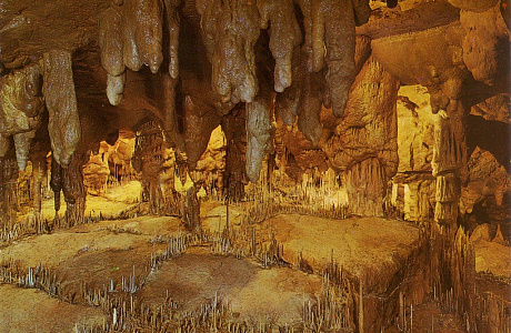 Пещера Альтамира