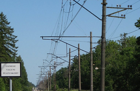Кейла
	

