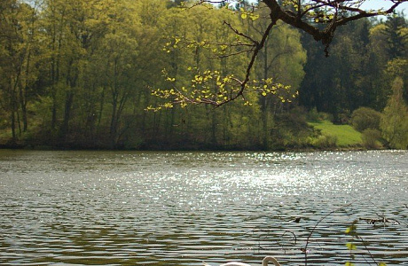Парк Тростянец