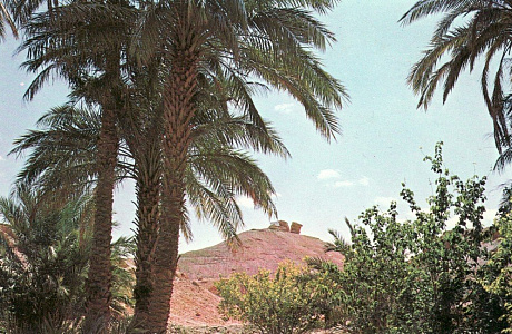 Эль-Голеа
