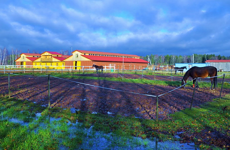 Село Федоскино