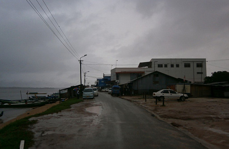 Албина