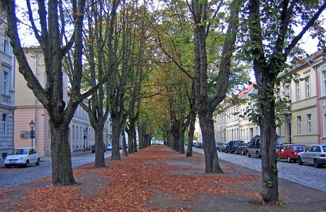 Потсдам