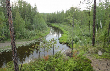 Тунгусский заповедник

	
