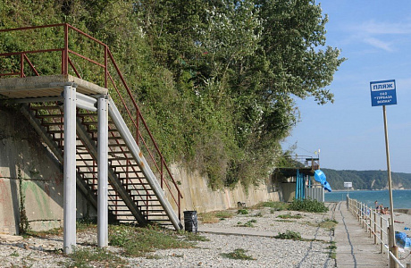 Агой