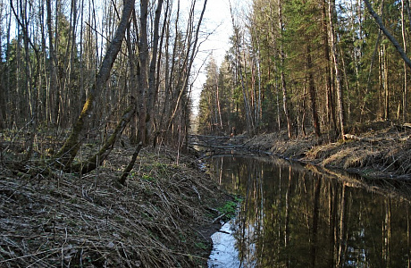 Парк Зверинец