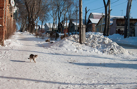 Ульяновск