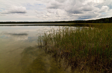 Парк Грутас