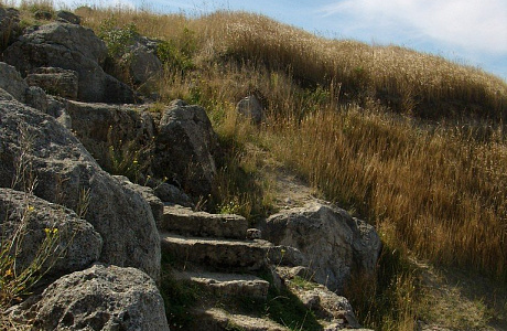 Пантикапей

	
