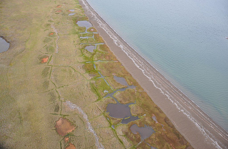 Море Бофорта