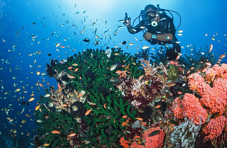 Молуккские острова
