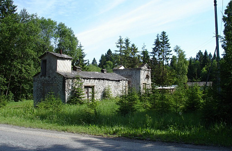 Кивиыли